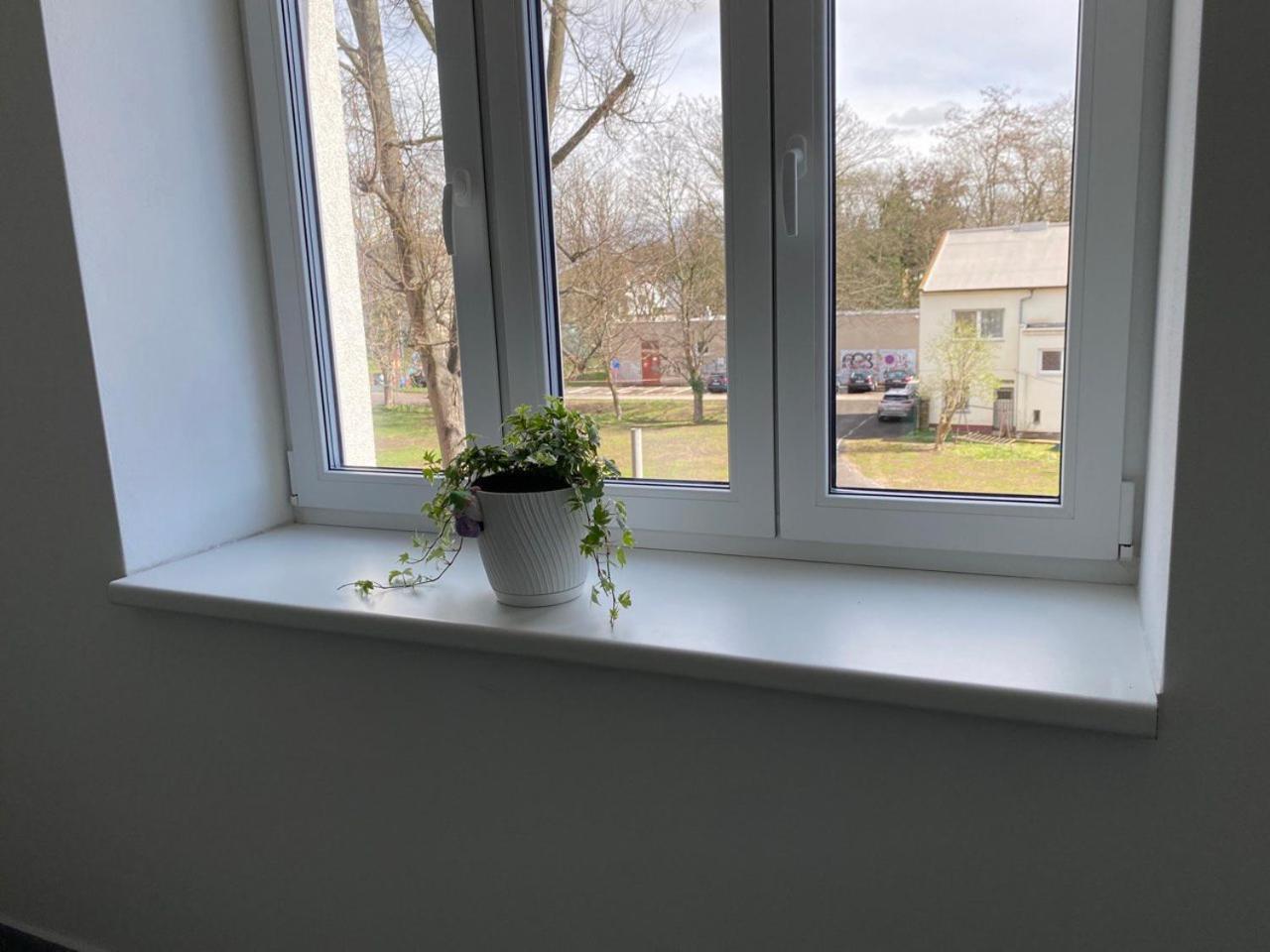 Hradec KrálovéPerla Hradce 101アパートメント エクステリア 写真